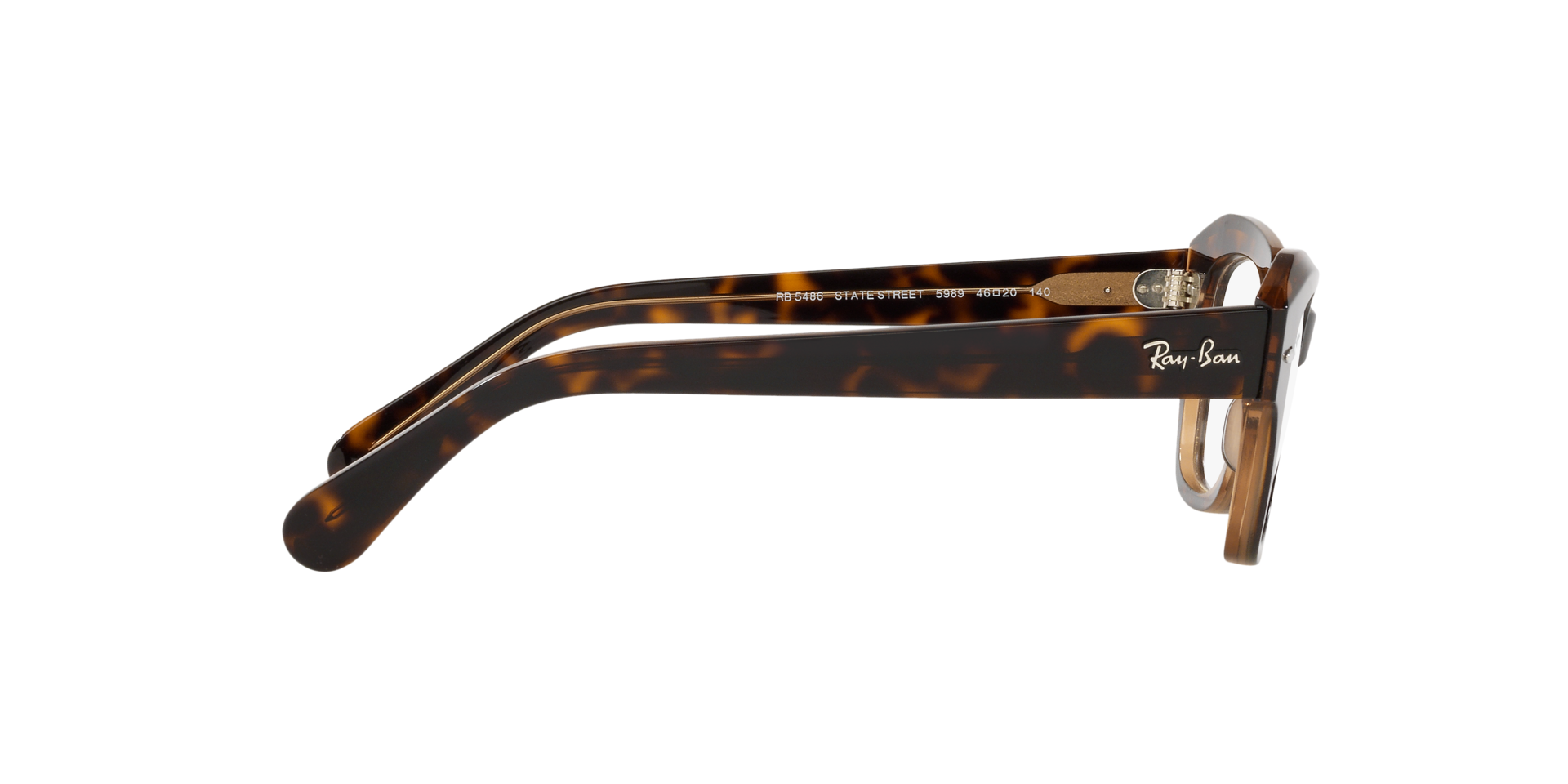0RX5486_Tortoise-5989_10.png