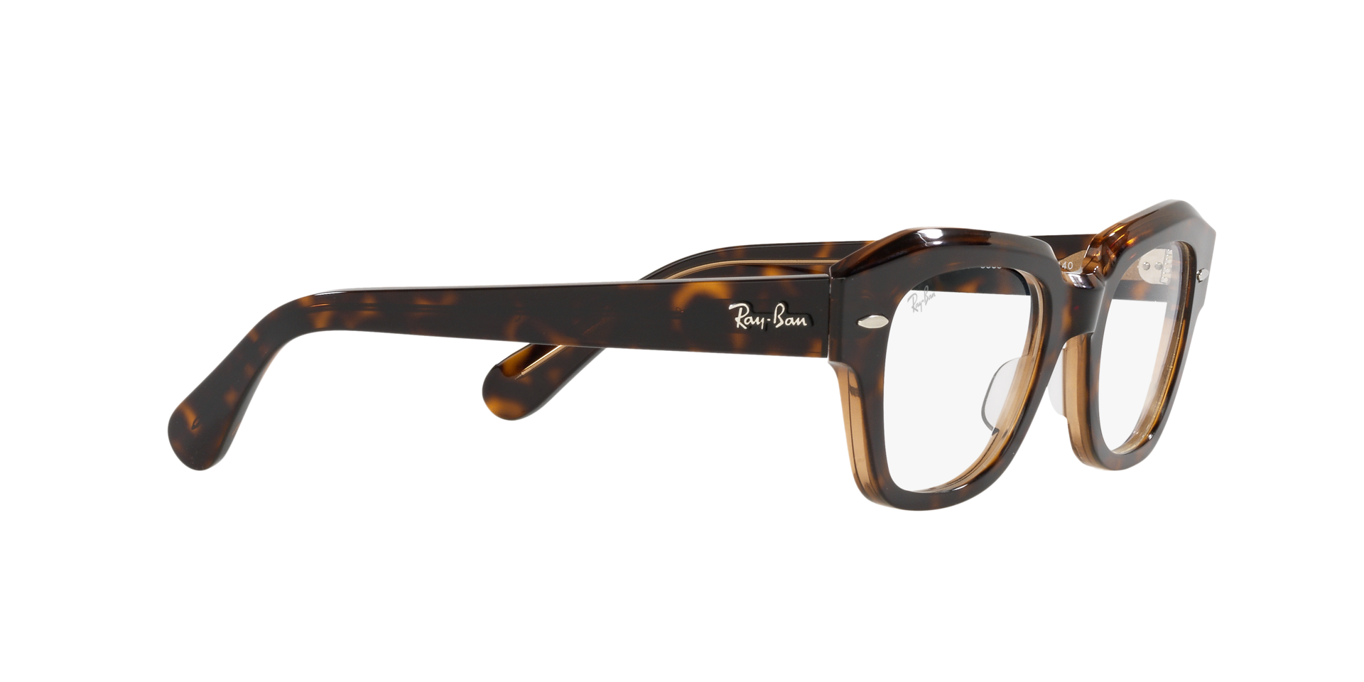 0RX5486_Tortoise-5989_11.png