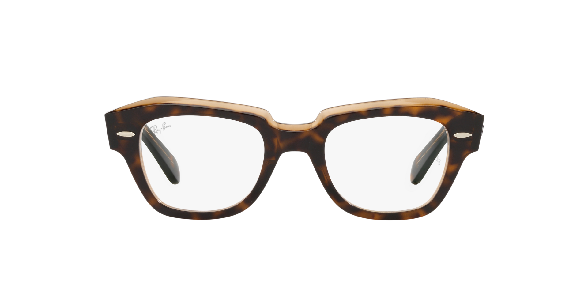 0RX5486_Tortoise-5989_2.png