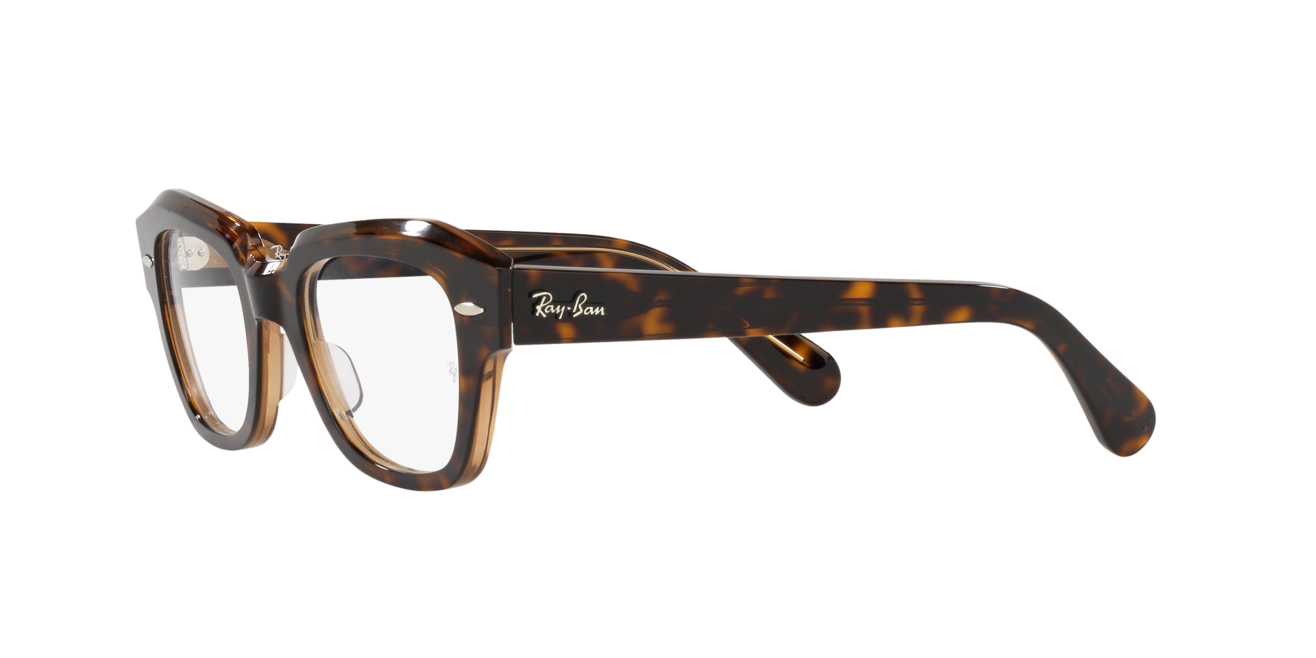 0RX5486_Tortoise-5989_3.png