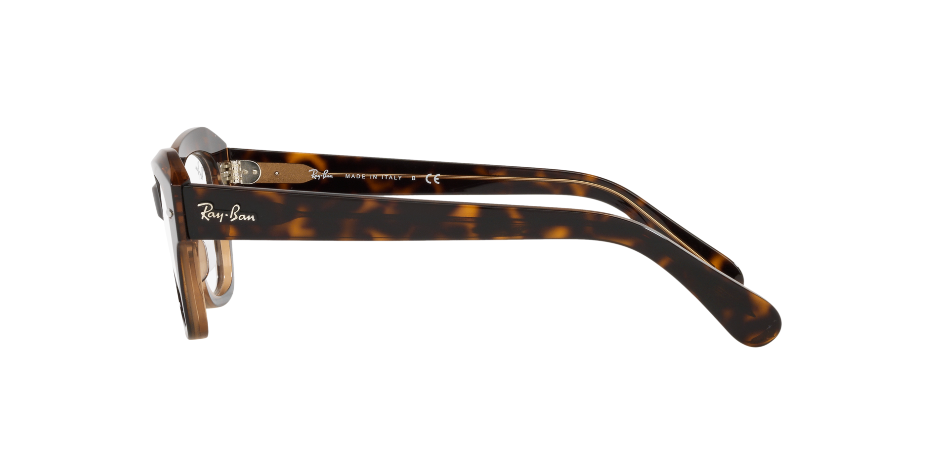0RX5486_Tortoise-5989_4.png