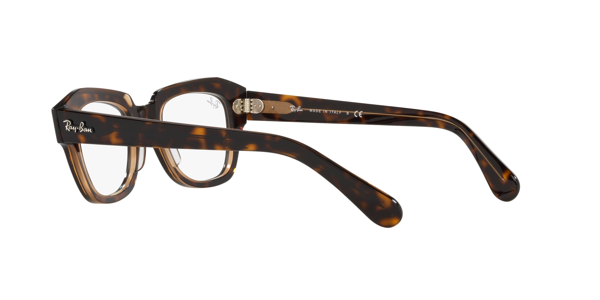 0RX5486_Tortoise-5989_5.png