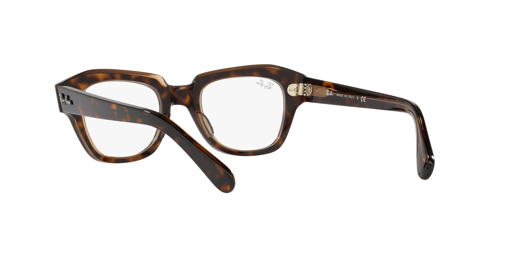 0RX5486_Tortoise-5989_6.png