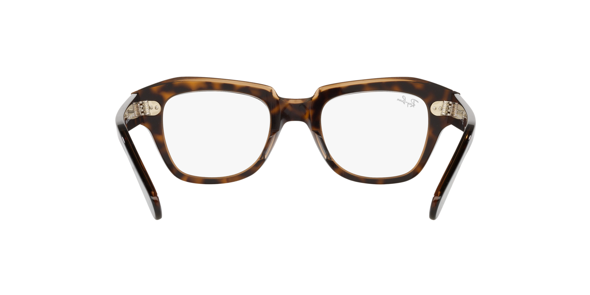 0RX5486_Tortoise-5989_7.png