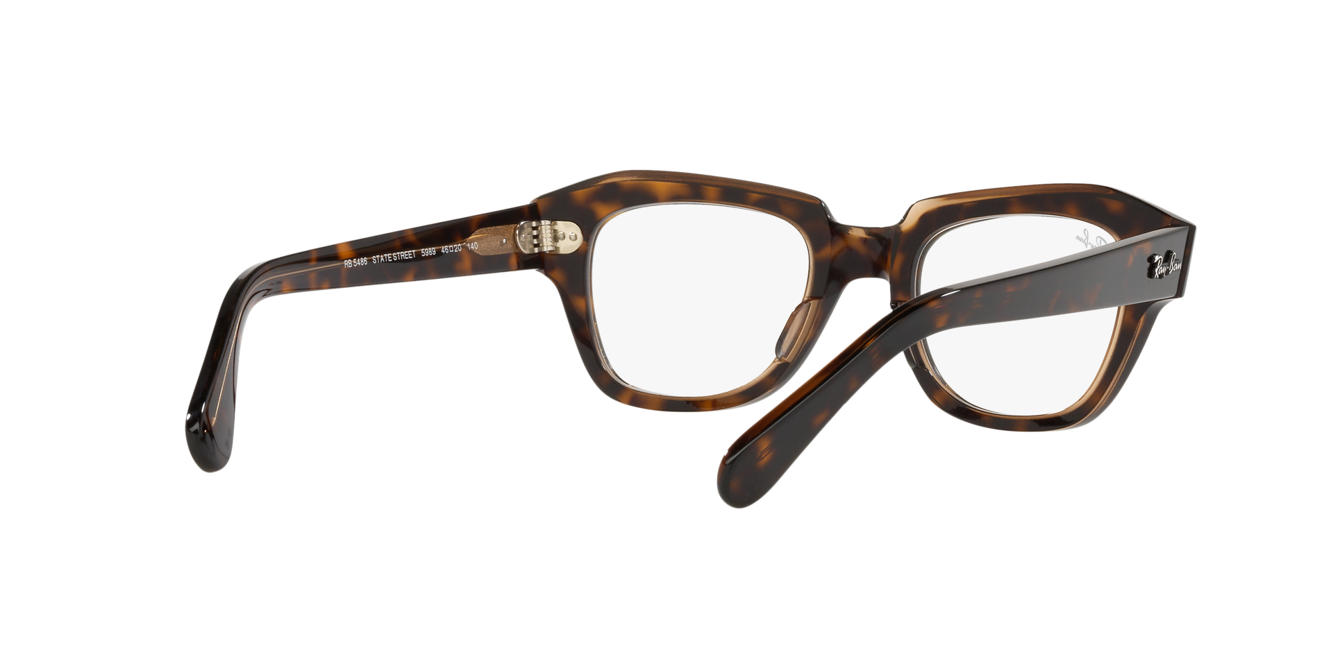 0RX5486_Tortoise-5989_8.png
