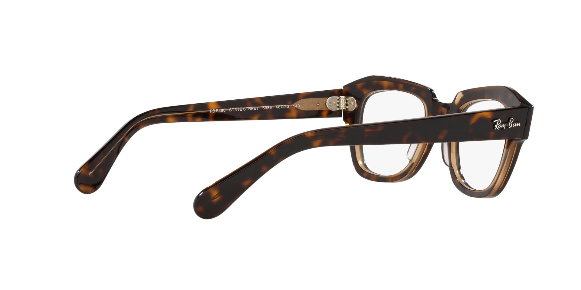 0RX5486_Tortoise-5989_9.png