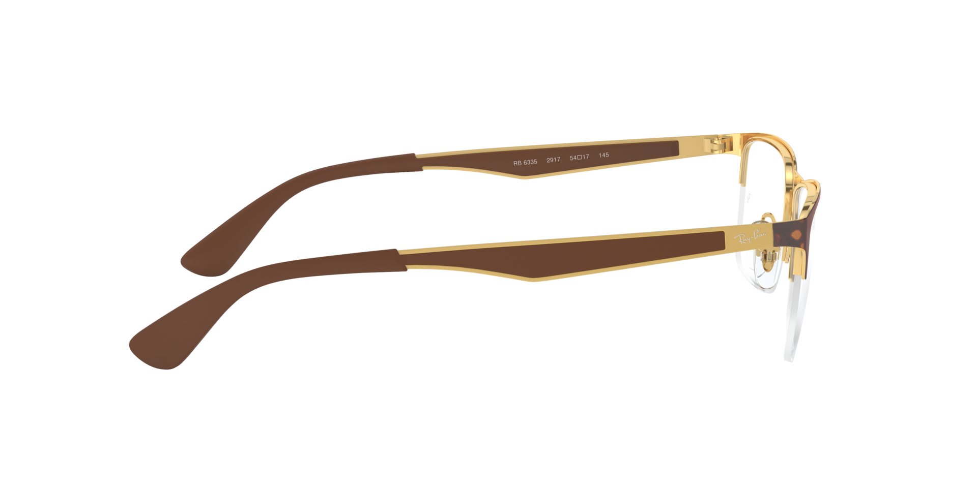 0RX6335_tortoise-2917_10.png