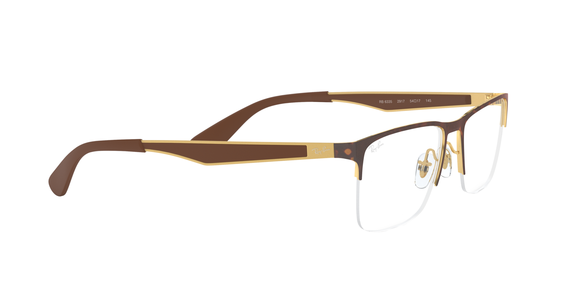 0RX6335_tortoise-2917_11.png