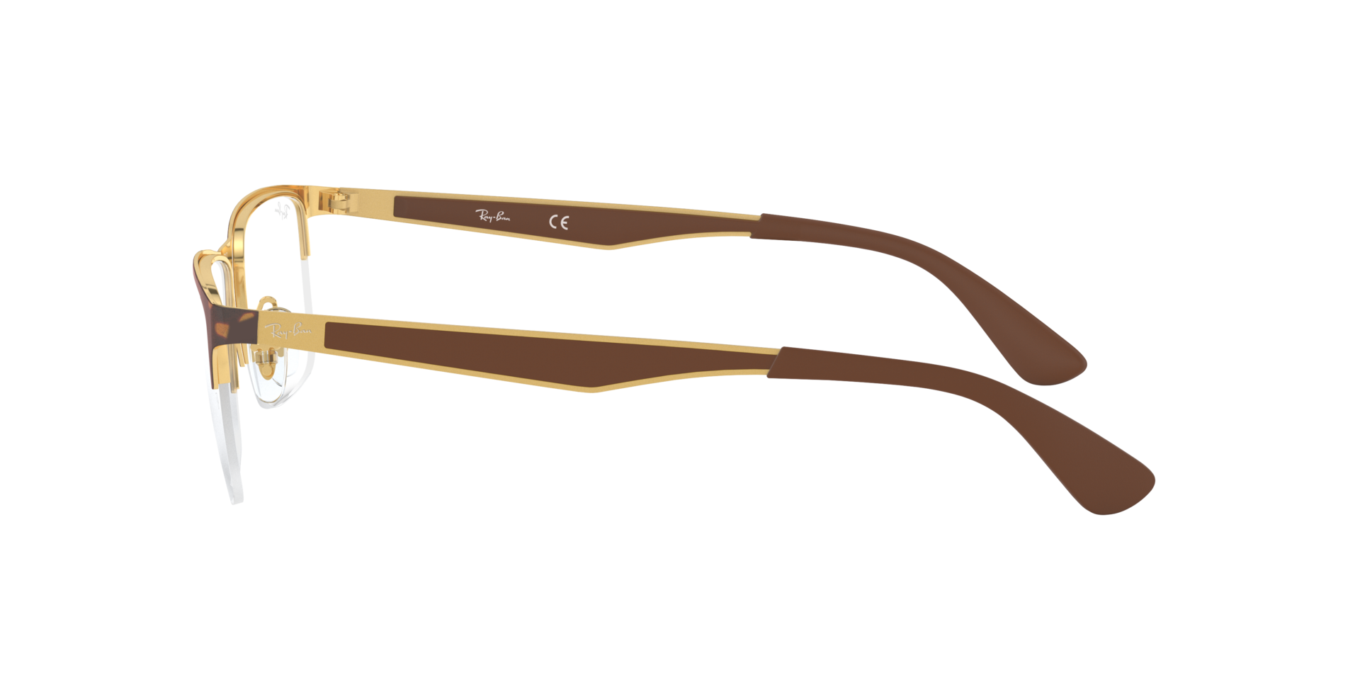 0RX6335_tortoise-2917_4.png