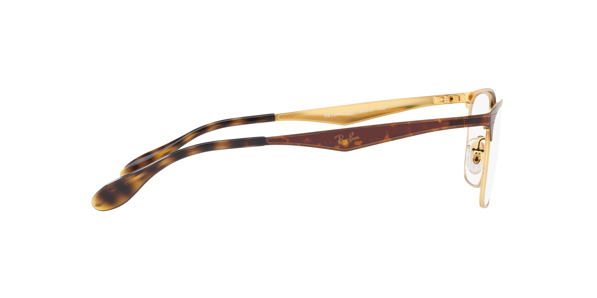 0RX6344_tortoise-2917_10.png