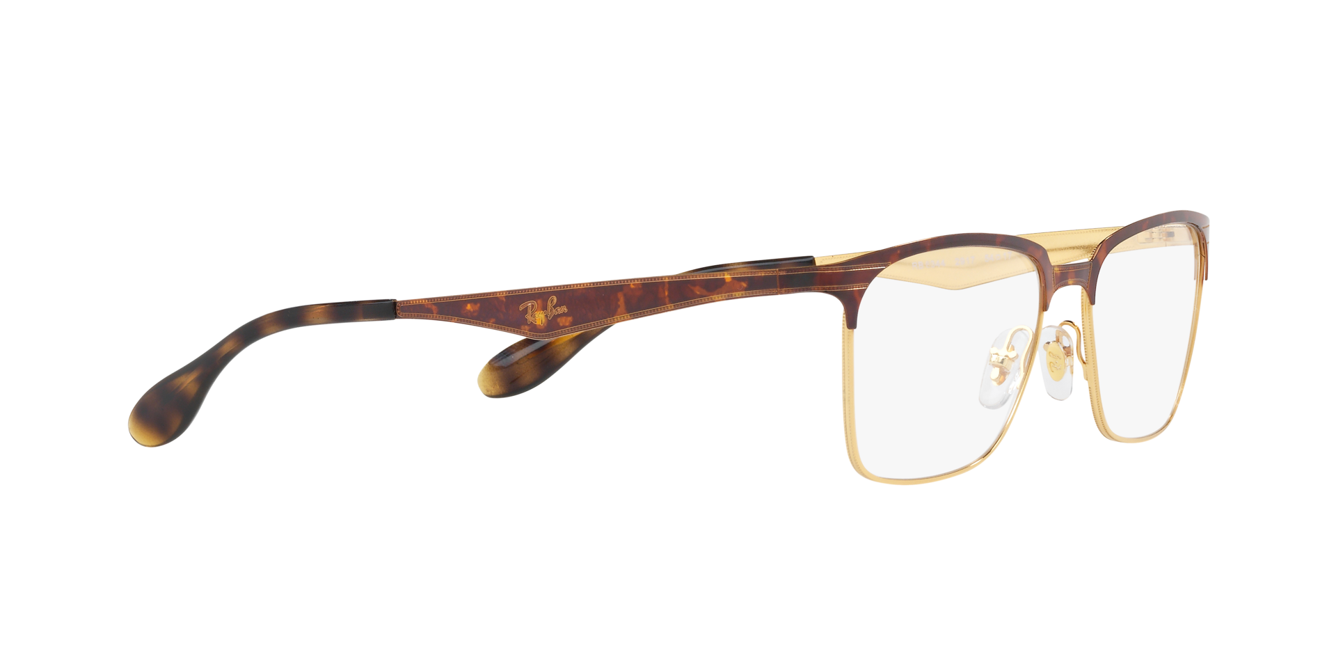 0RX6344_tortoise-2917_11.png