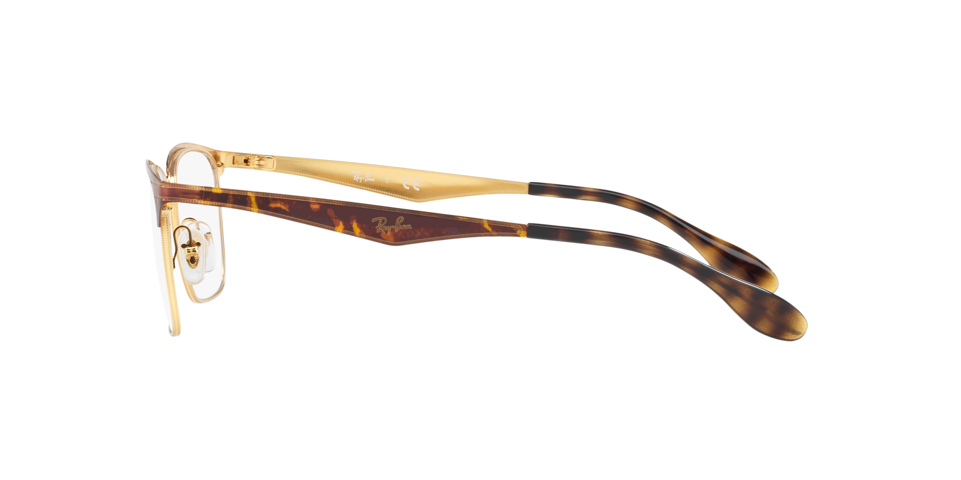 0RX6344_tortoise-2917_4.png