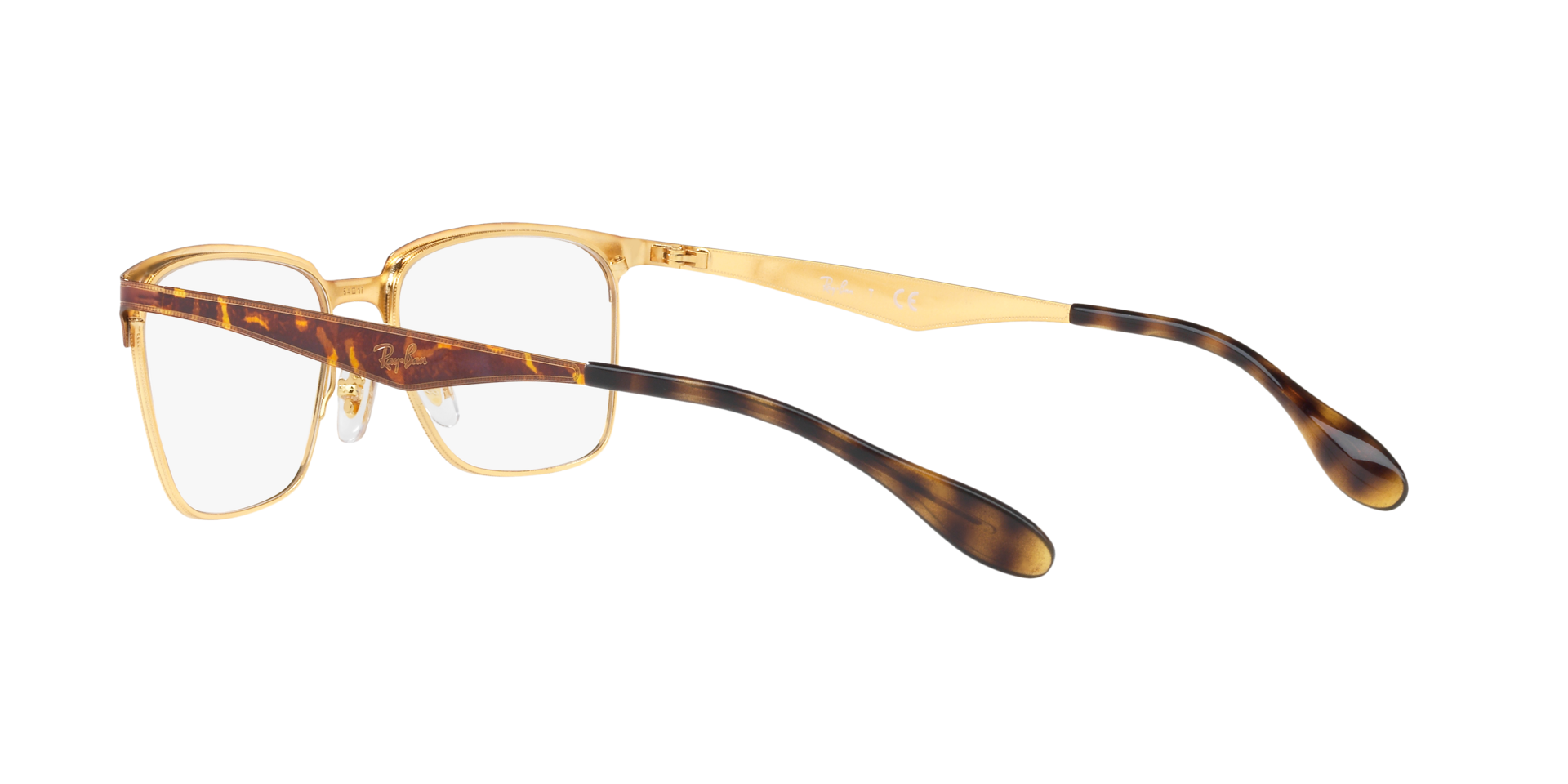 0RX6344_tortoise-2917_5.png