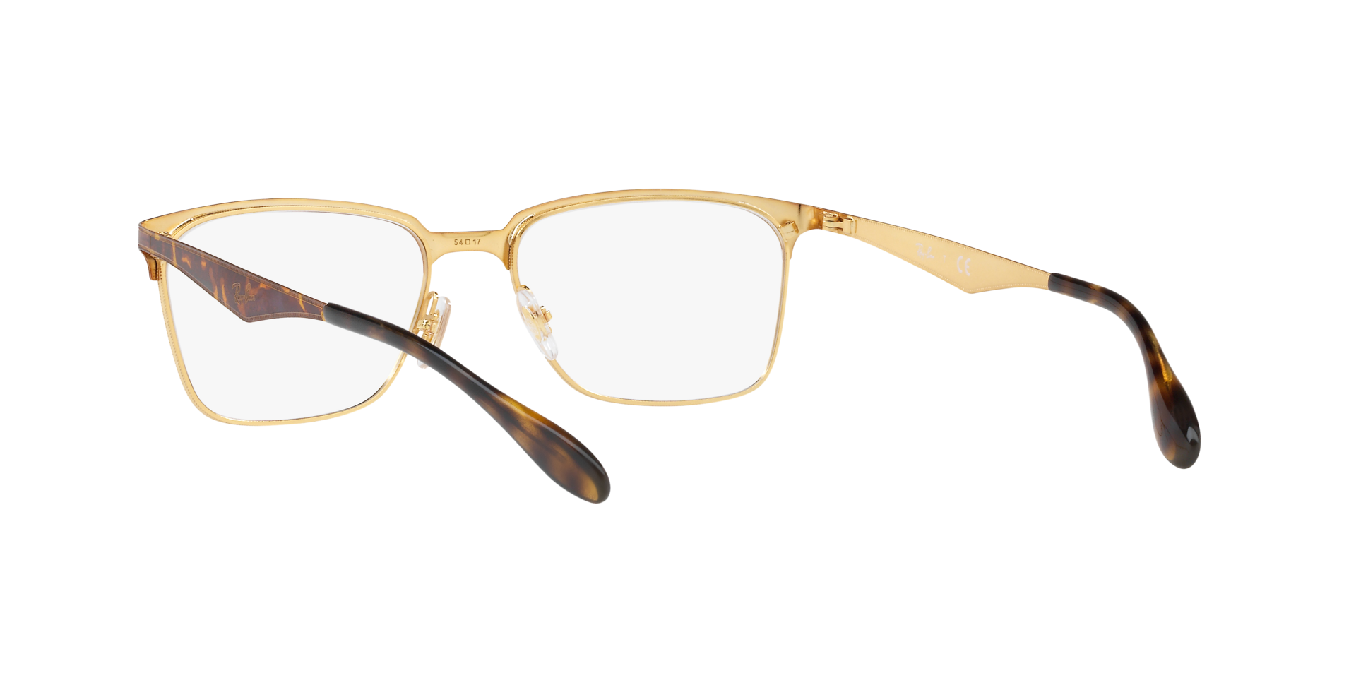 0RX6344_tortoise-2917_6.png