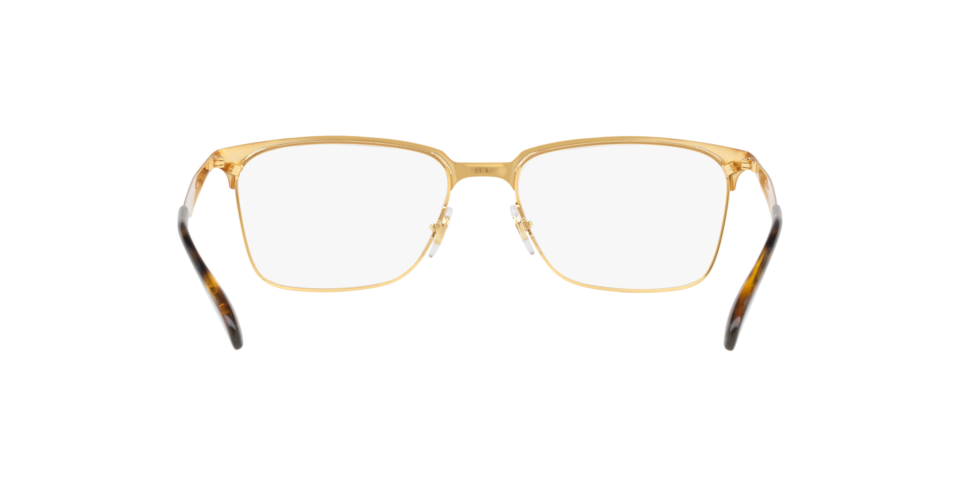 0RX6344_tortoise-2917_7.png
