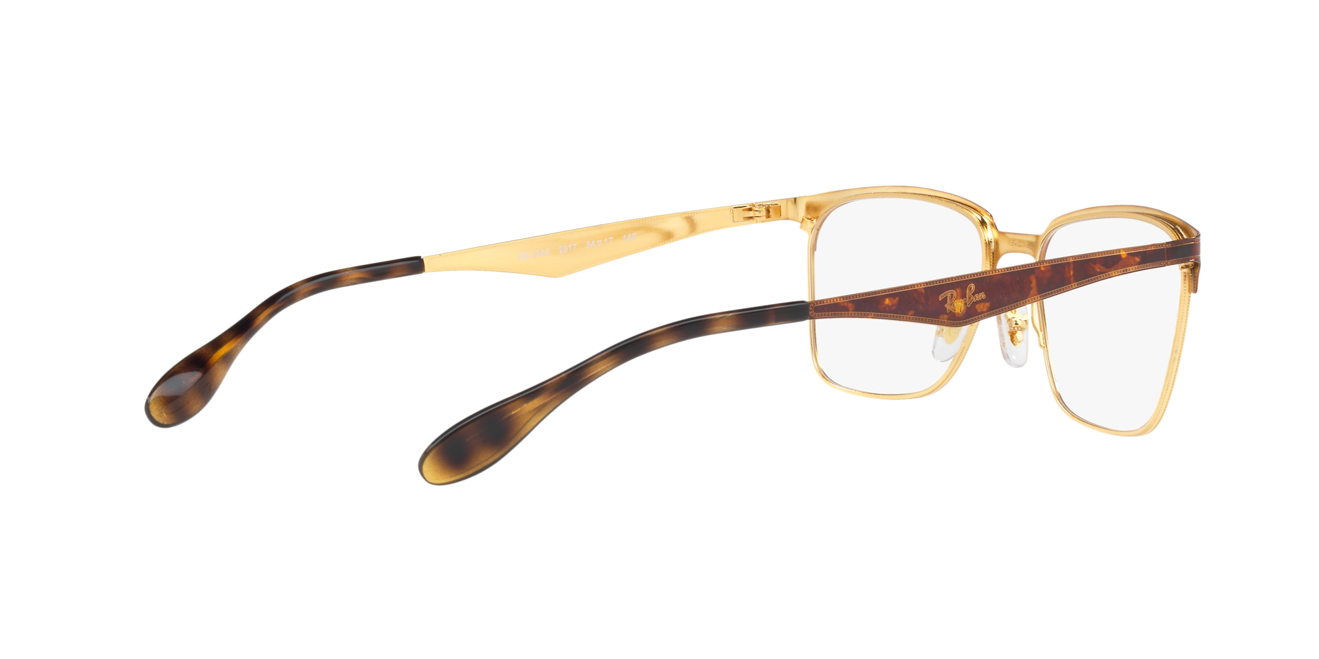 0RX6344_tortoise-2917_9.png