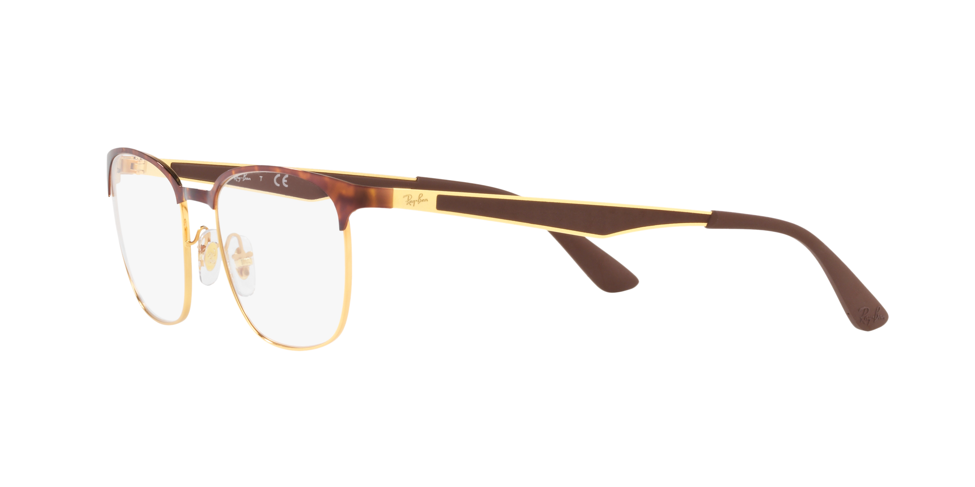 0RX6356_tortoise-2917_3.png