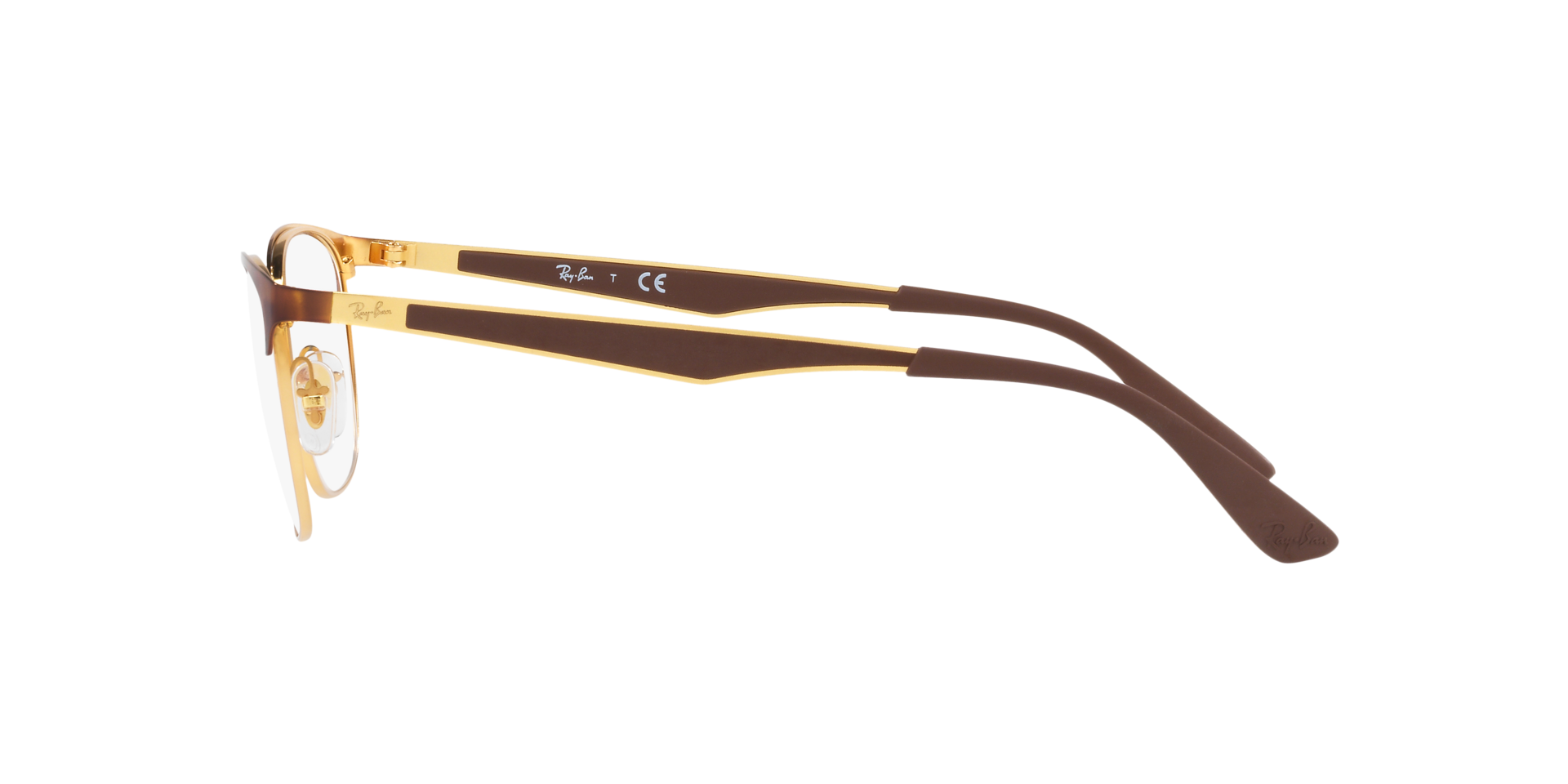 0RX6356_tortoise-2917_4.png