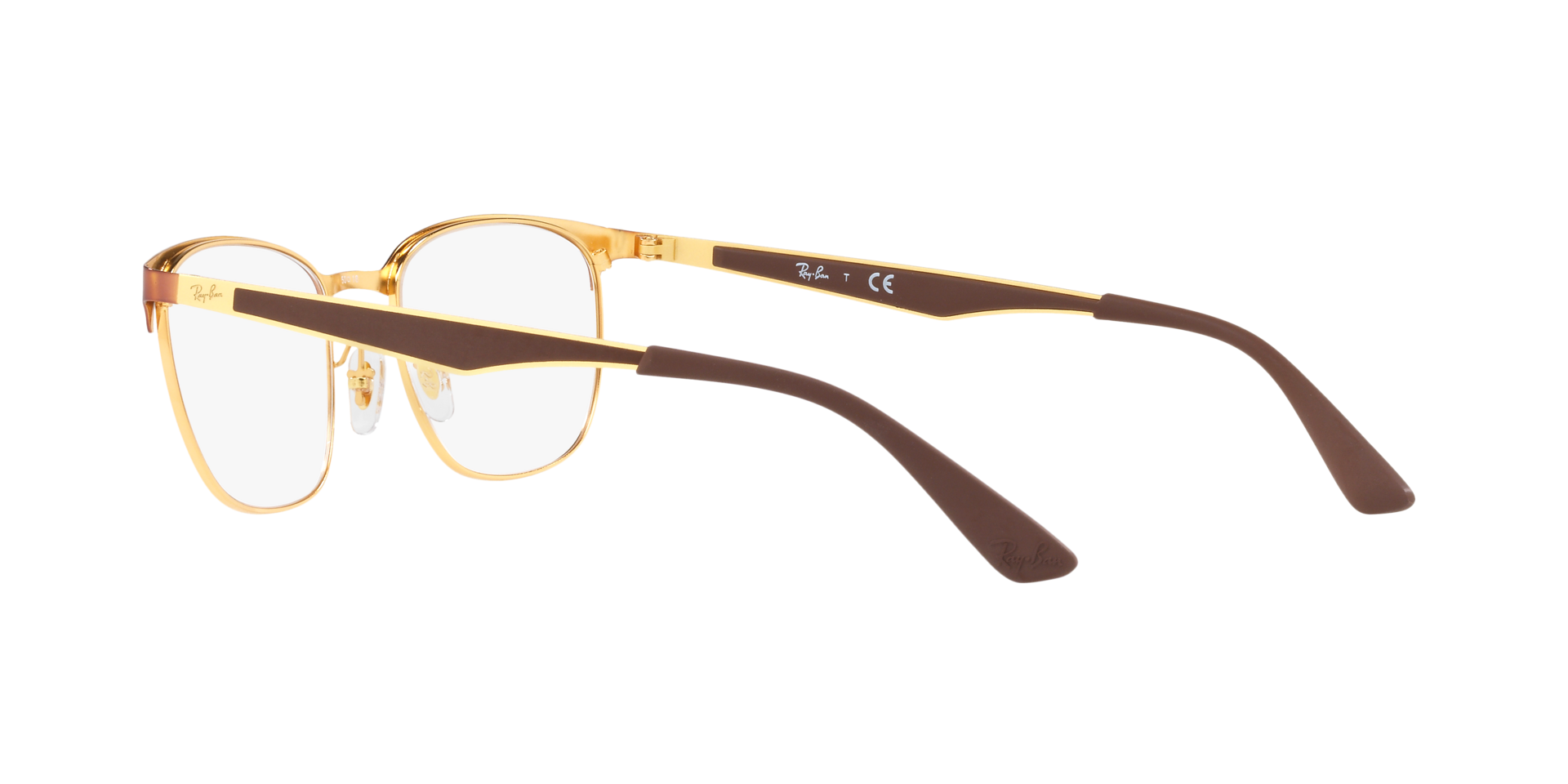 0RX6356_tortoise-2917_5.png