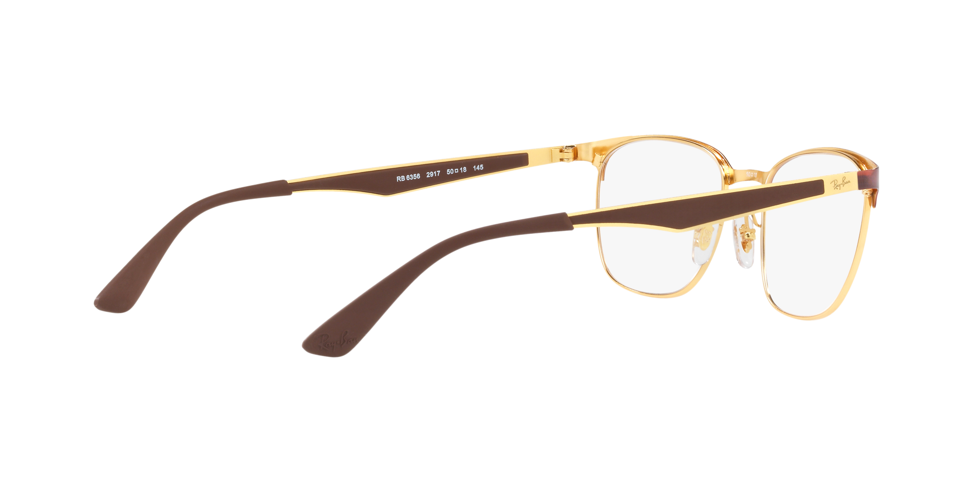 0RX6356_tortoise-2917_9.png