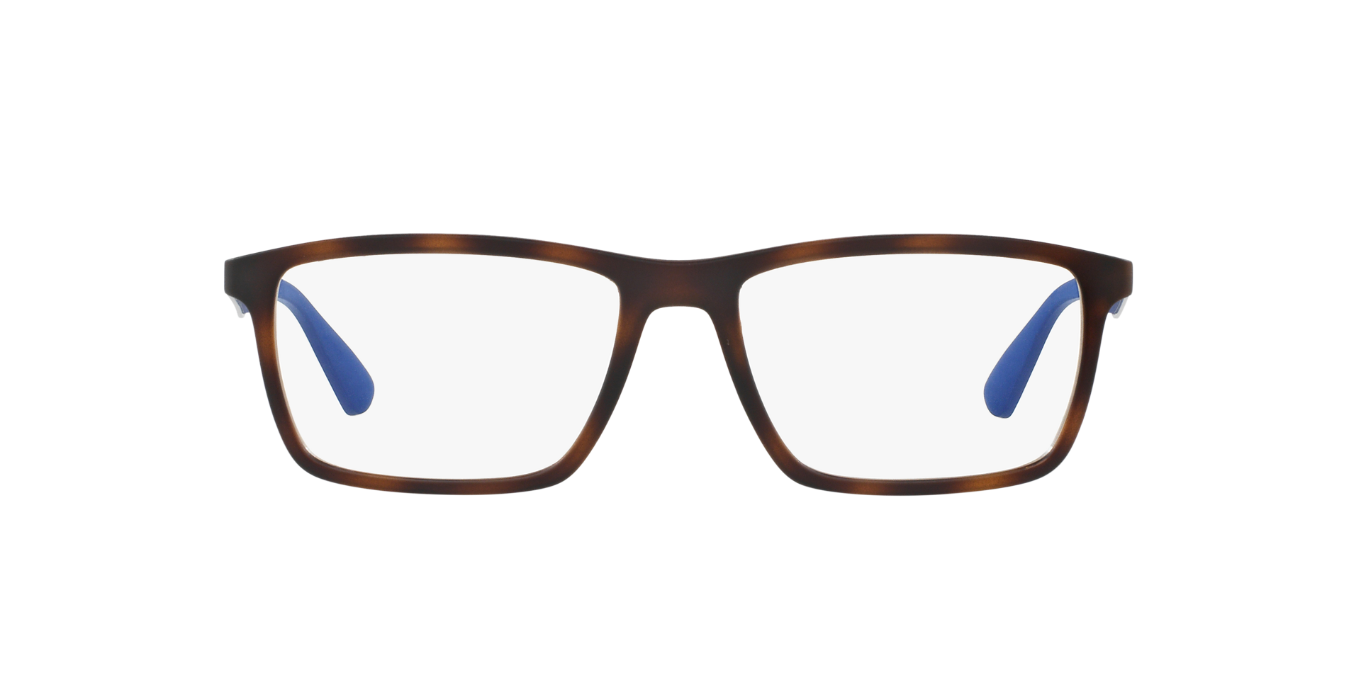 0RX7056_tortoise-5645_2.png