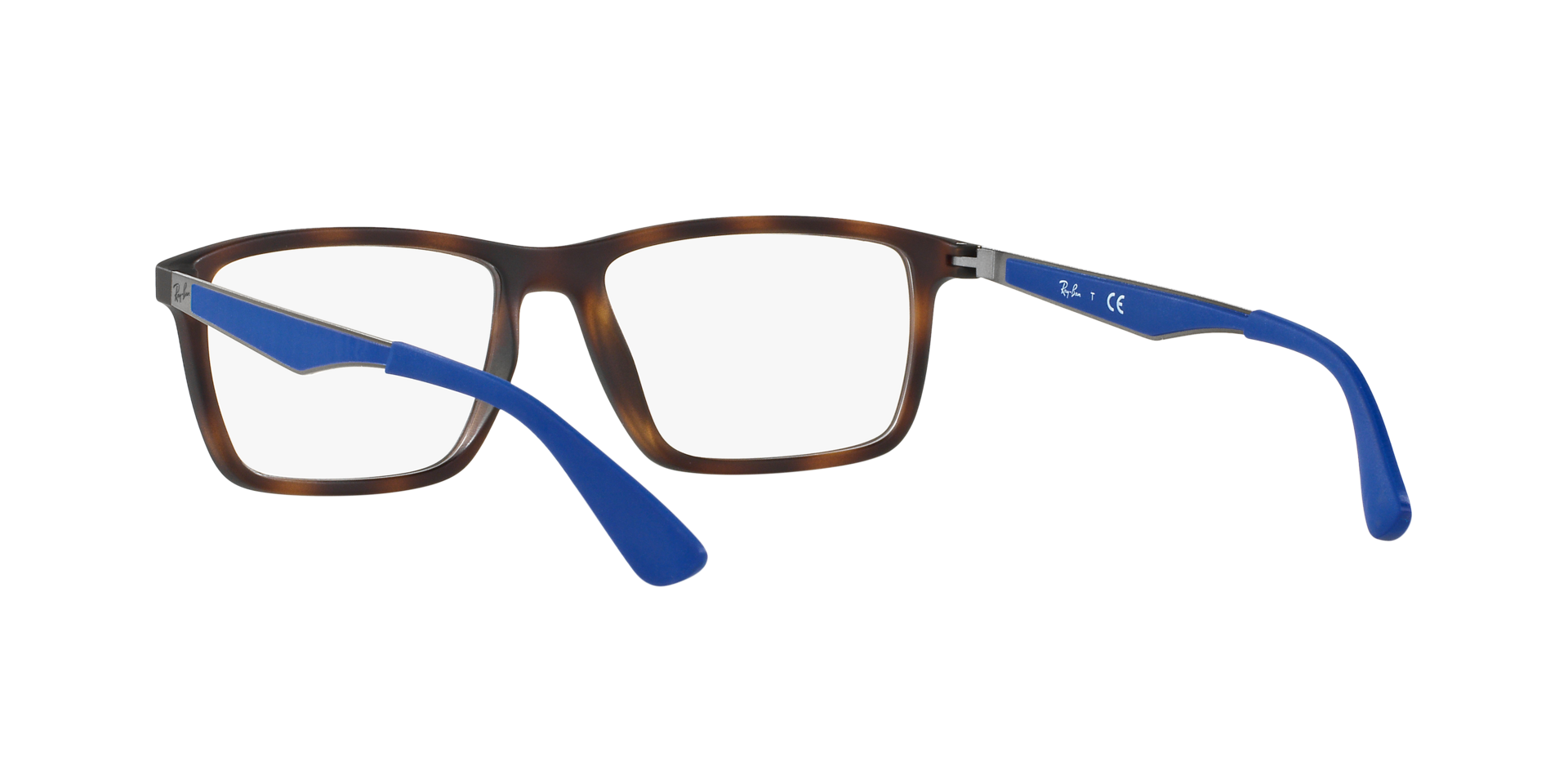 0RX7056_tortoise-5645_6.png