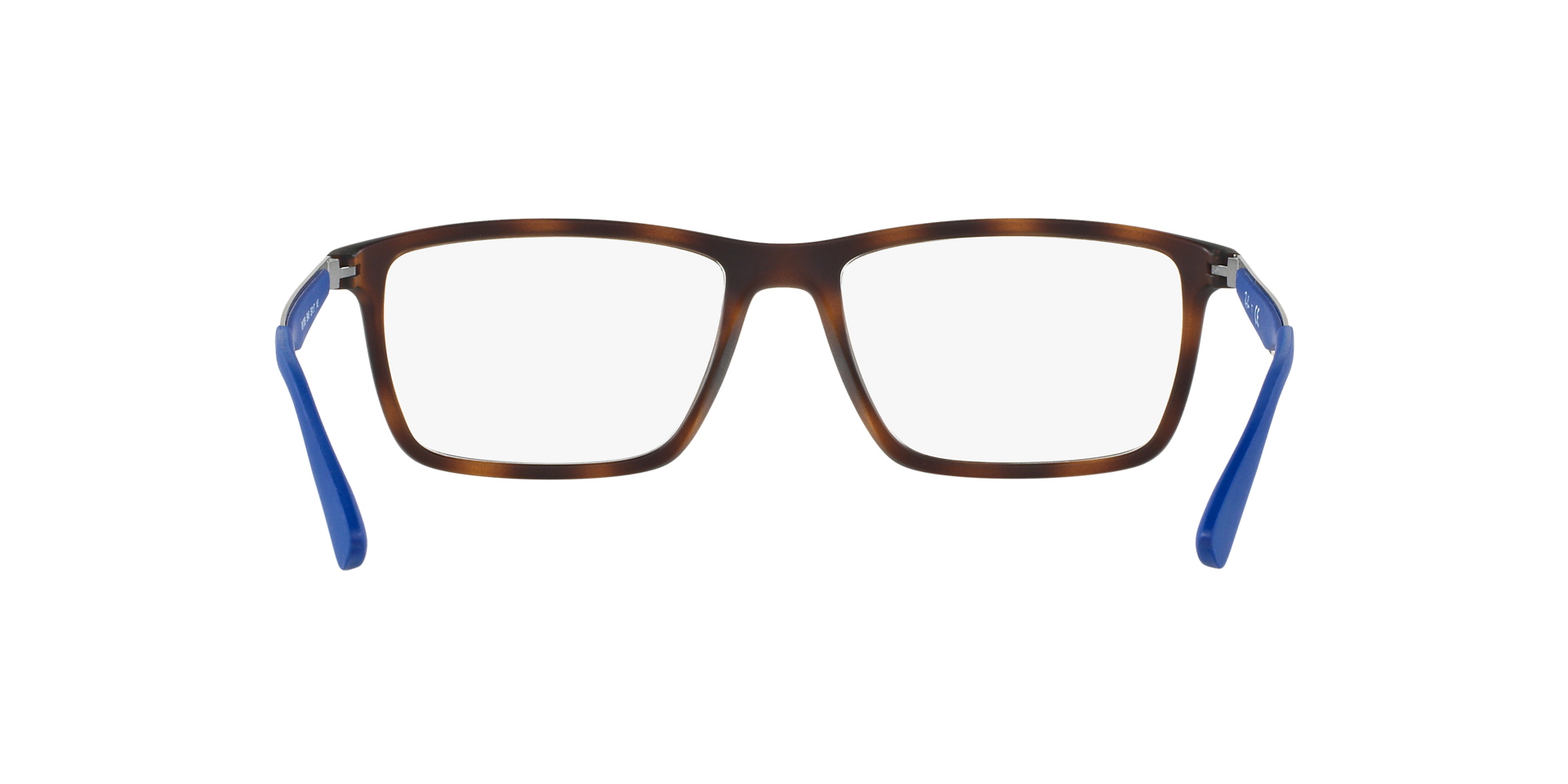 0RX7056_tortoise-5645_7.png