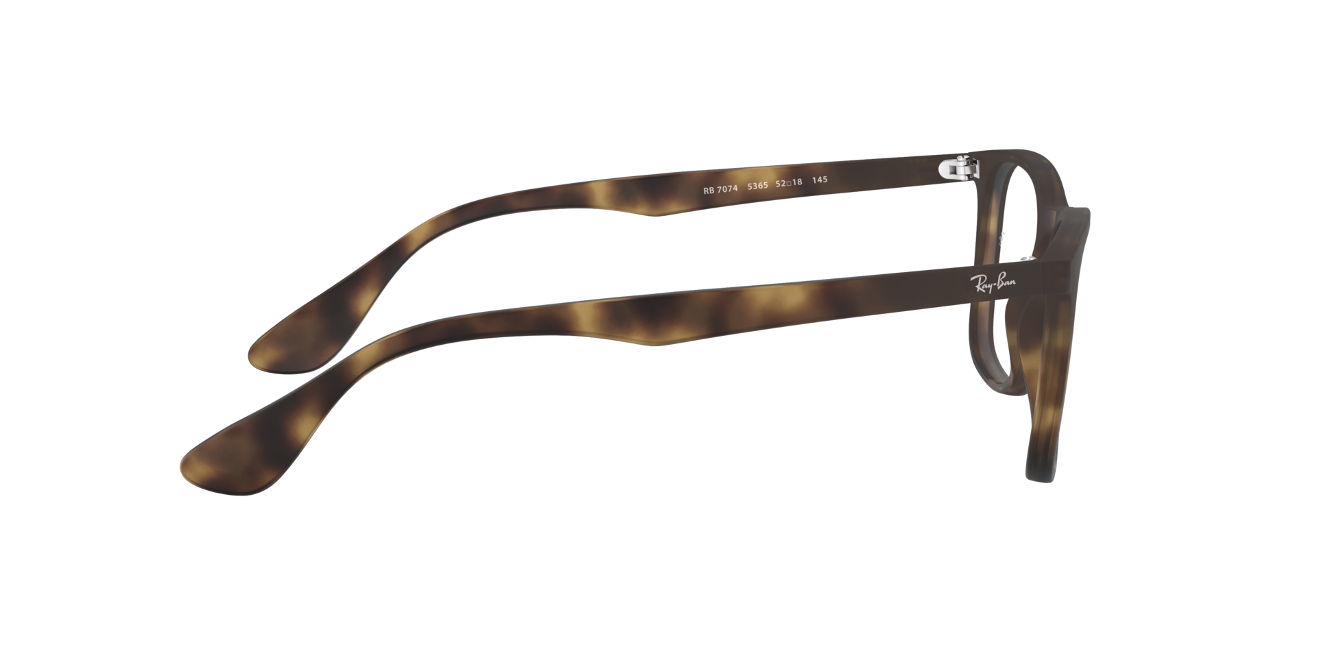 0RX7074_tortoise-5365_10.png