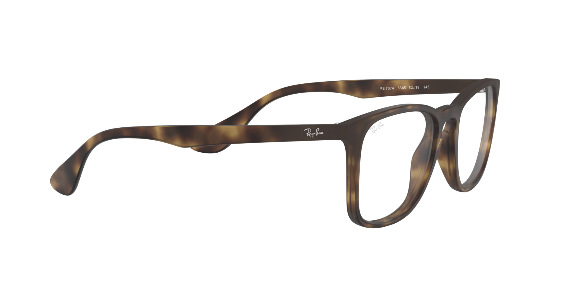 0RX7074_tortoise-5365_11.png