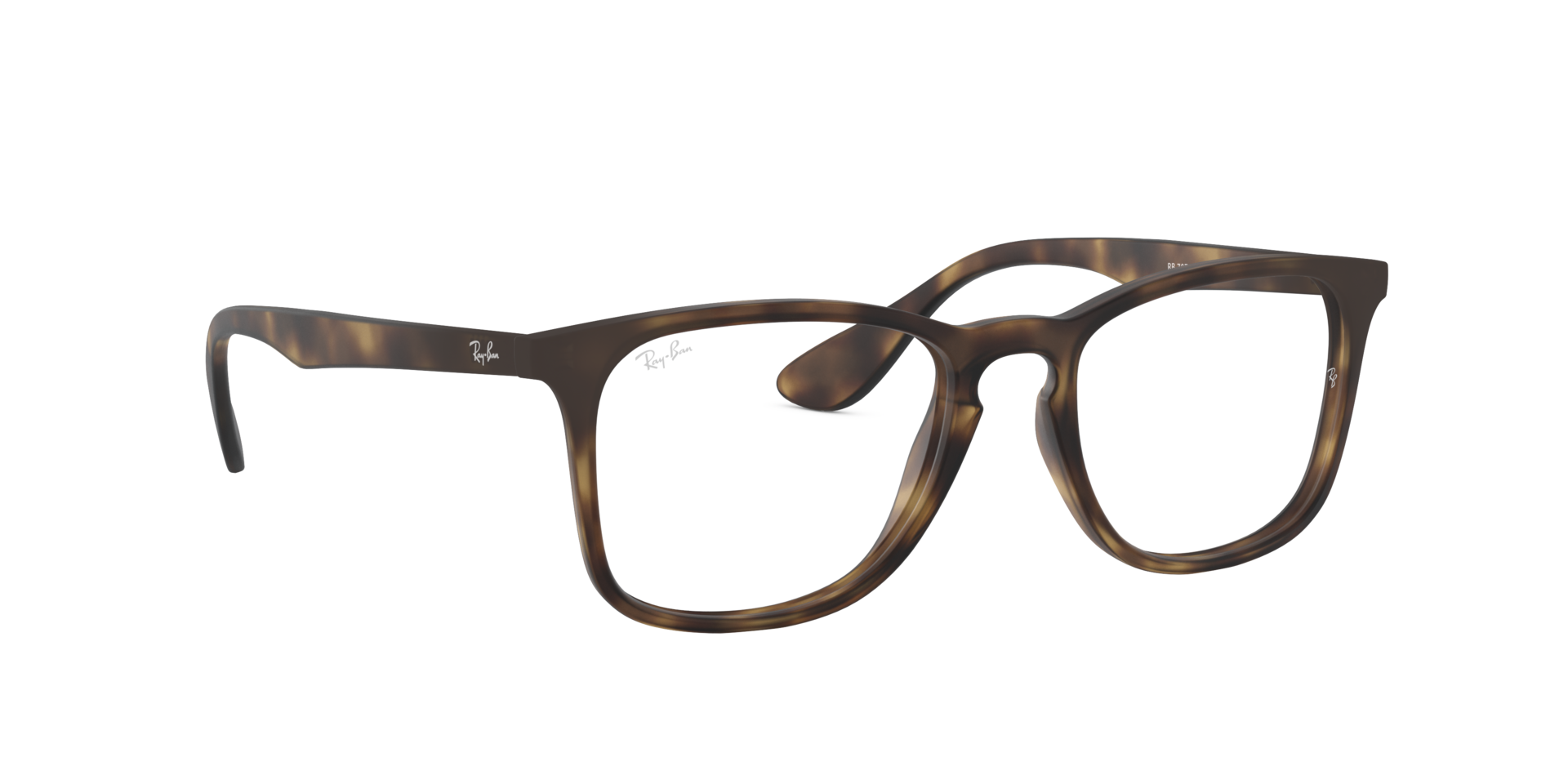 0RX7074_tortoise-5365_12.png