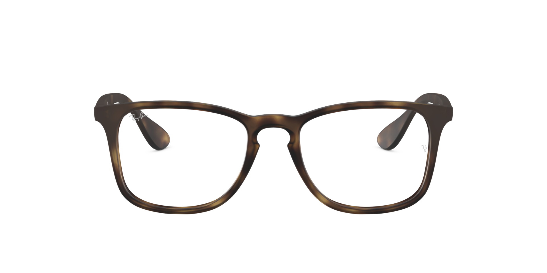 0RX7074_tortoise-5365_2.png