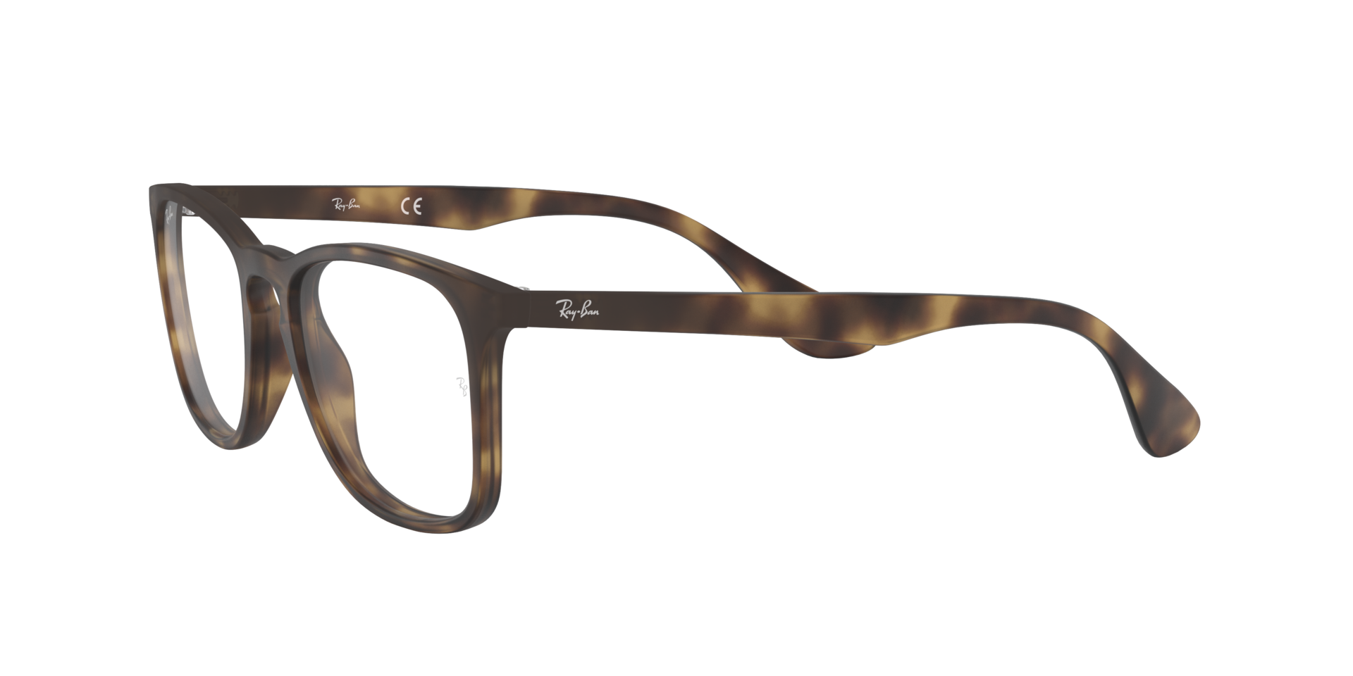 0RX7074_tortoise-5365_3.png