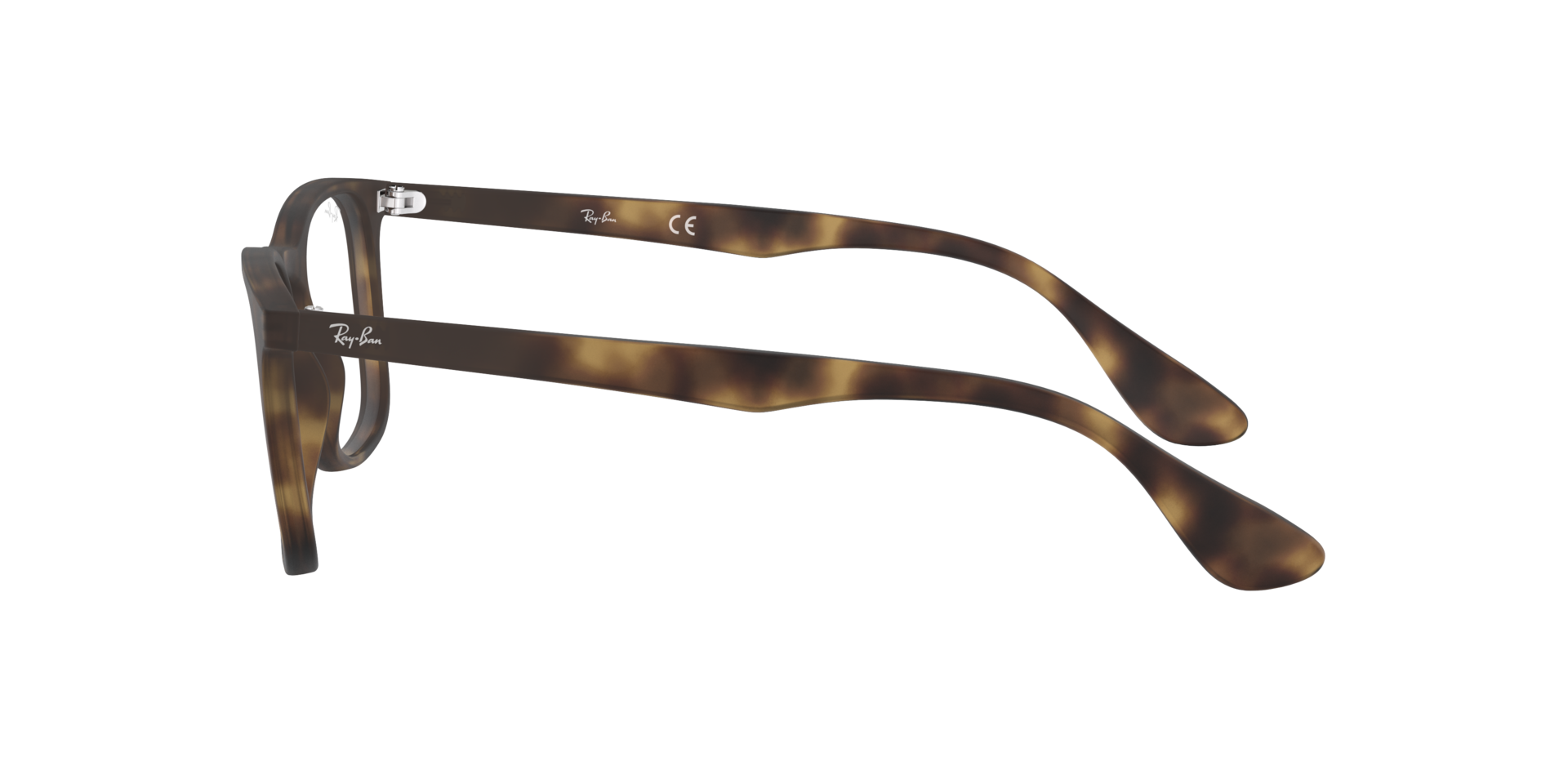 0RX7074_tortoise-5365_4.png