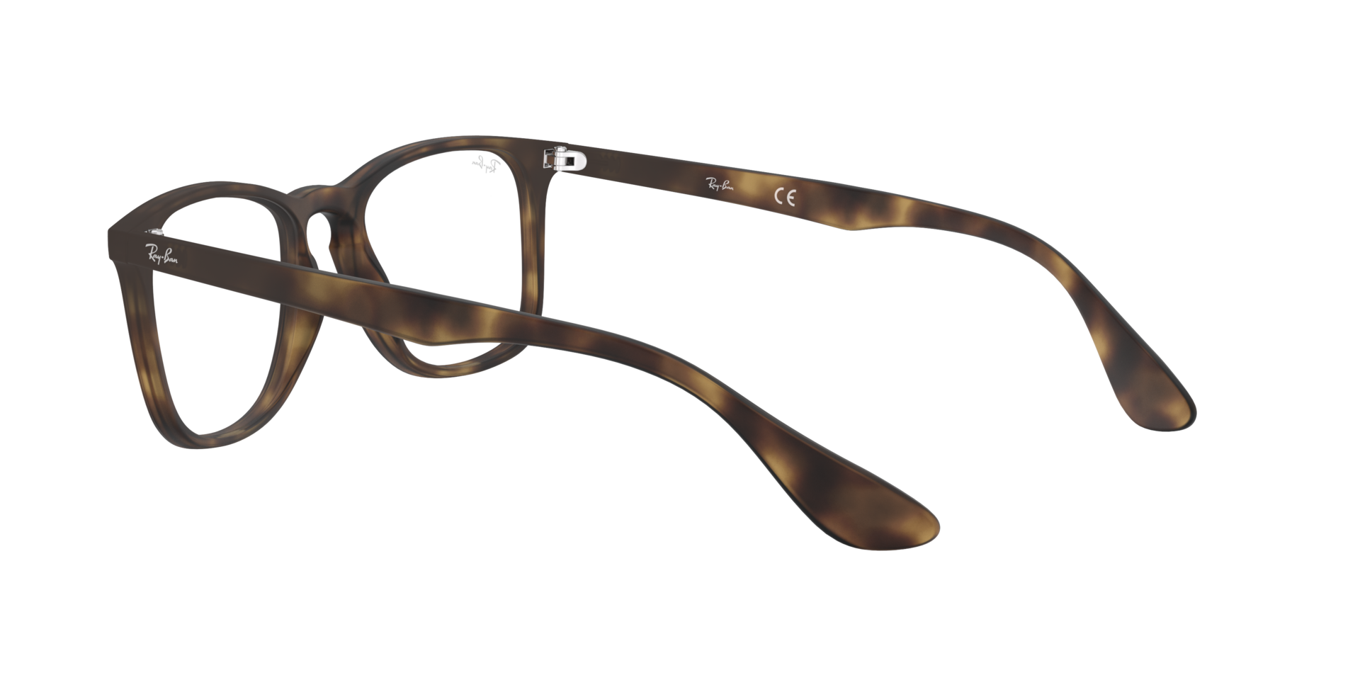 0RX7074_tortoise-5365_5.png
