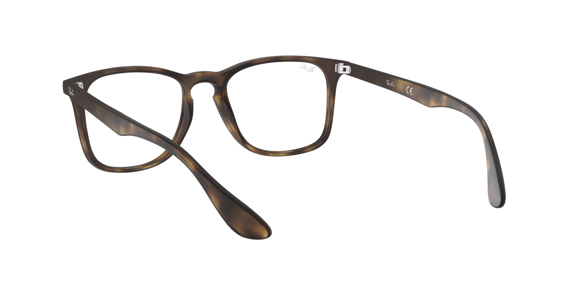 0RX7074_tortoise-5365_6.png