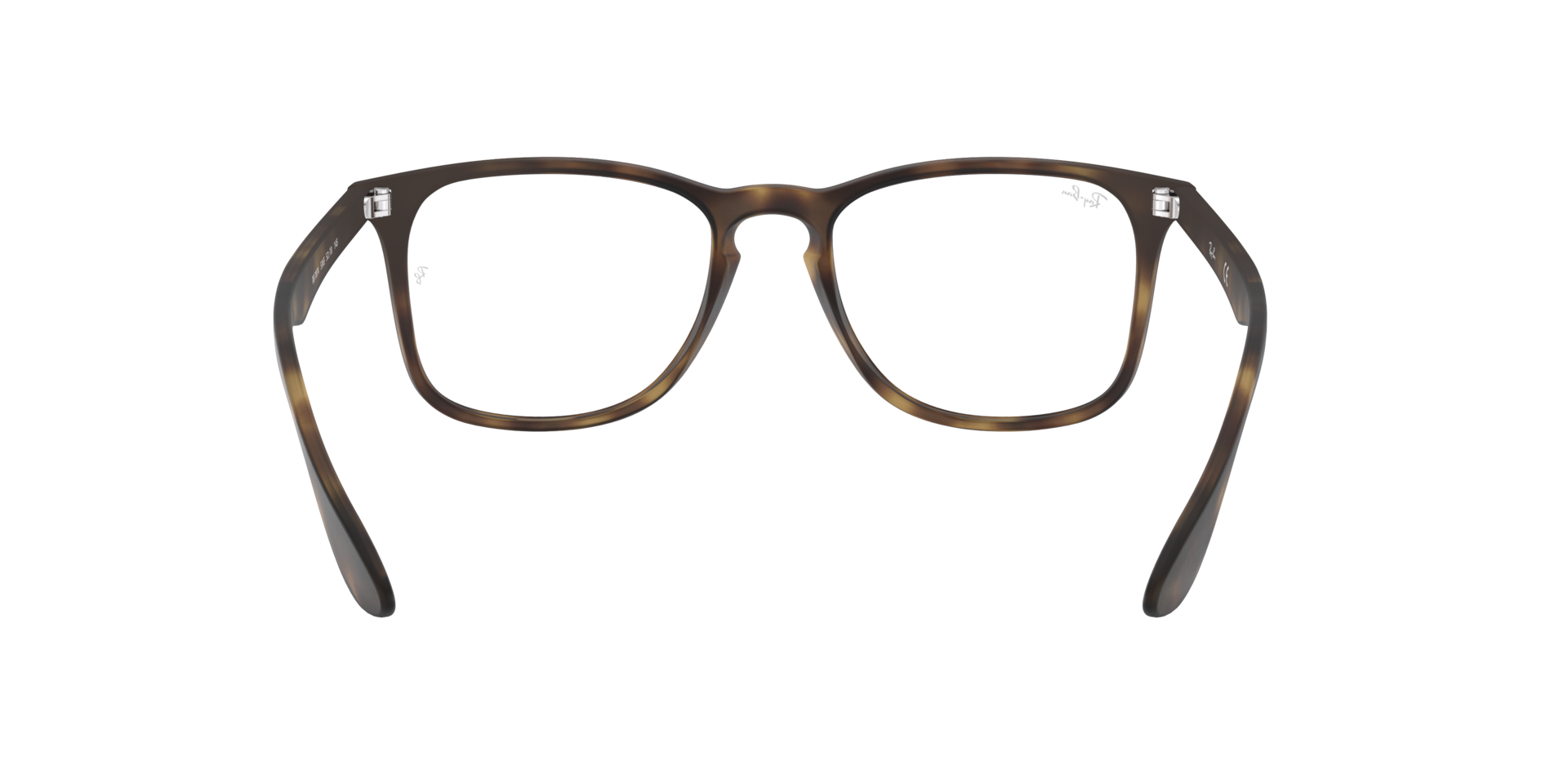 0RX7074_tortoise-5365_7.png