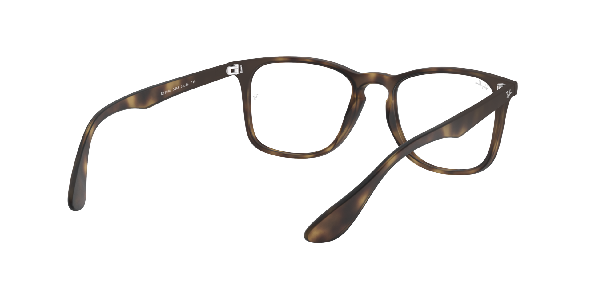 0RX7074_tortoise-5365_8.png