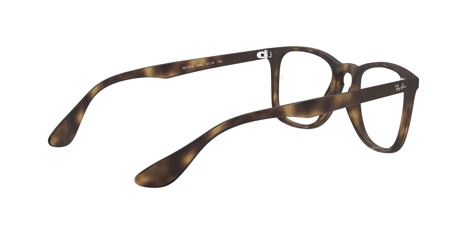 0RX7074_tortoise-5365_9.png
