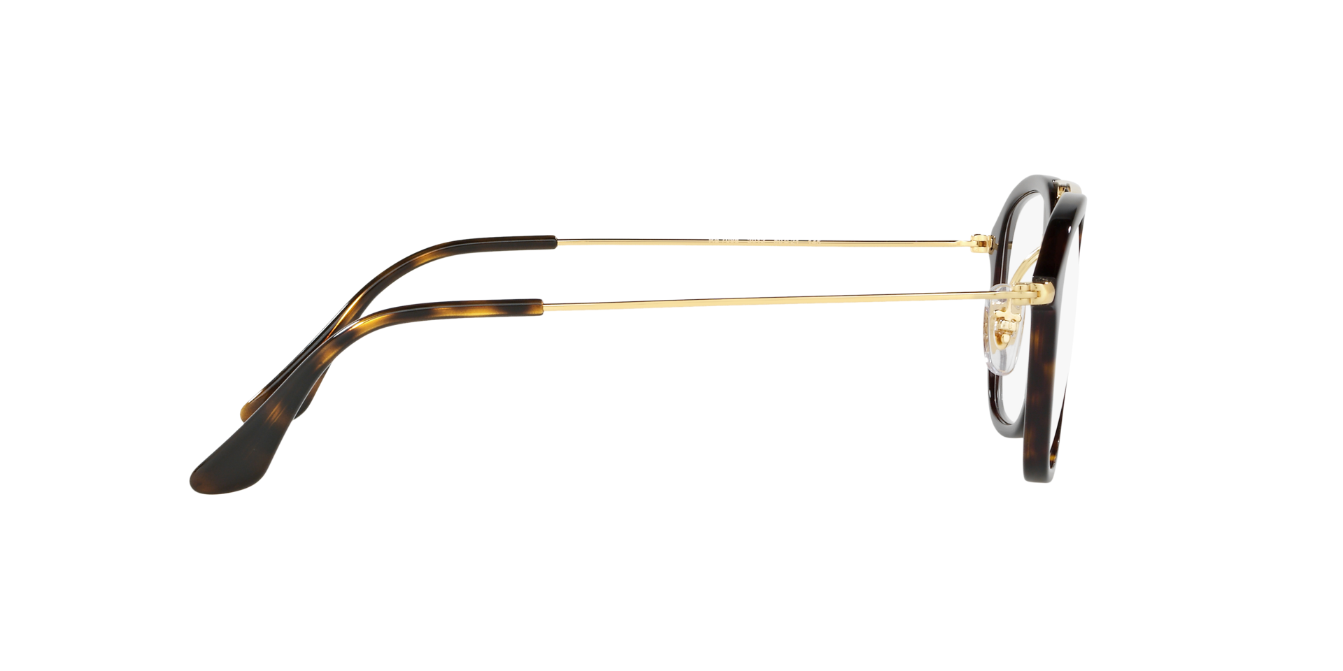 0RX7098_tortoise-2012_10.png
