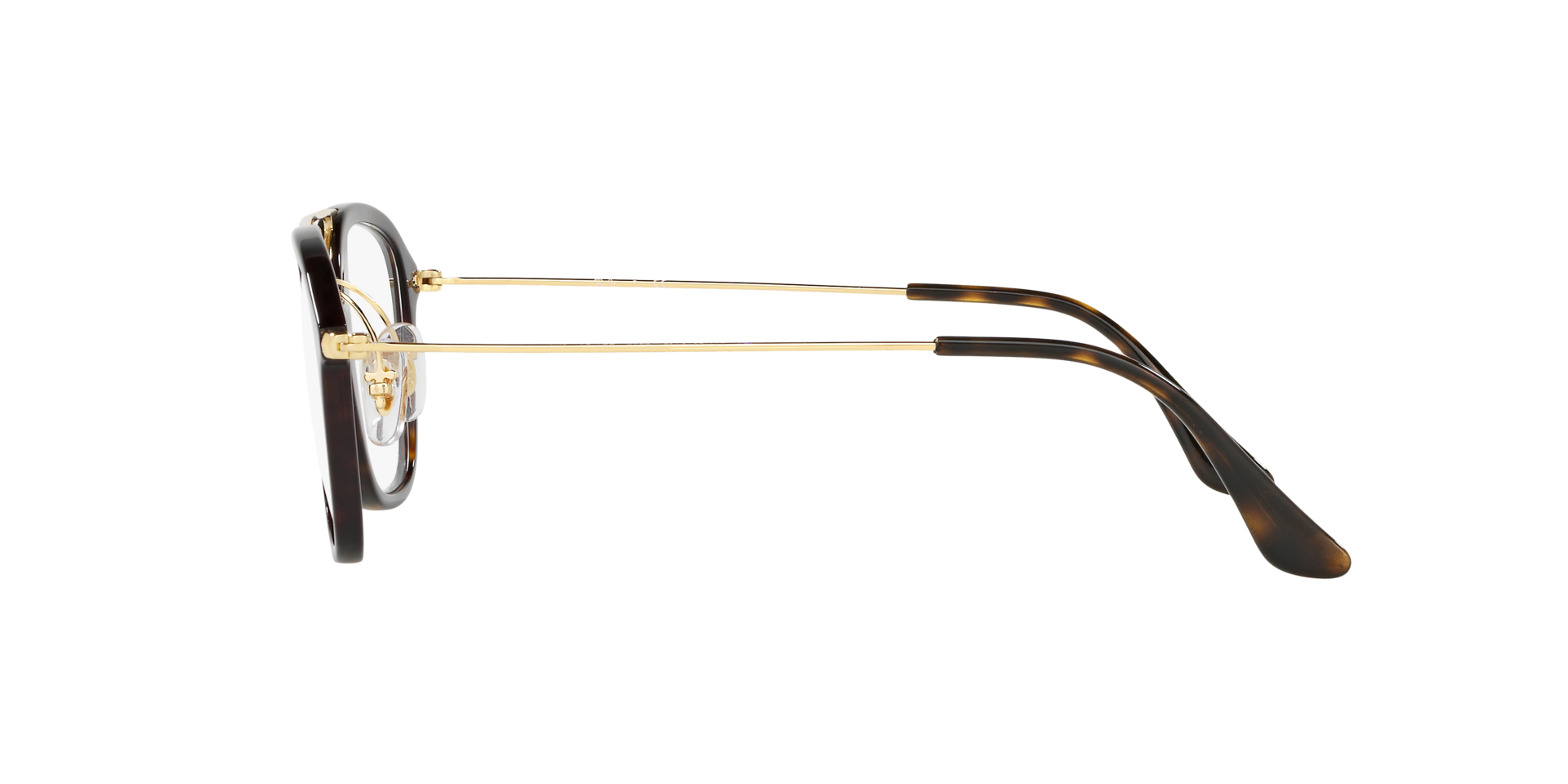 0RX7098_tortoise-2012_4.png
