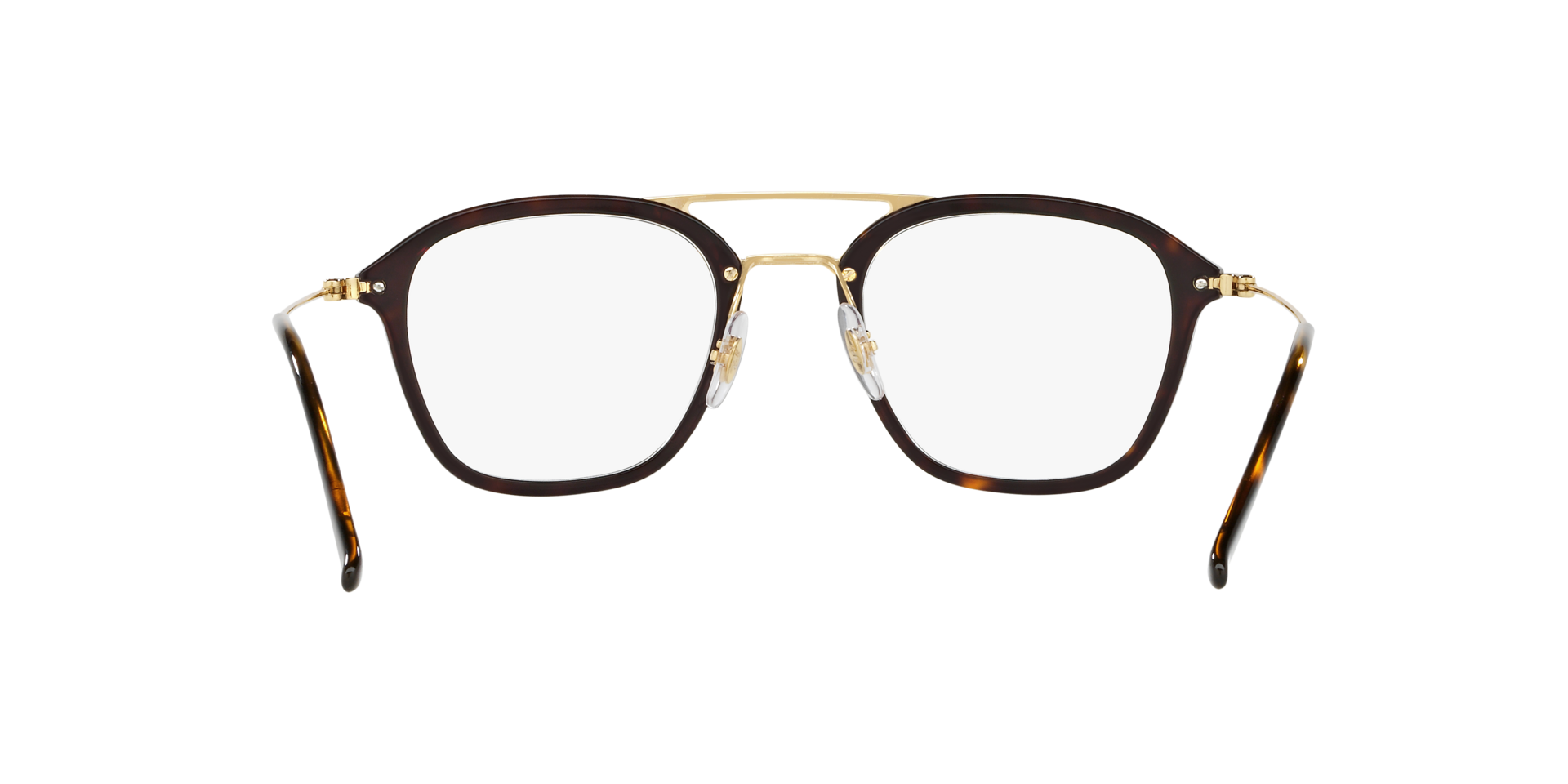 0RX7098_tortoise-2012_7.png