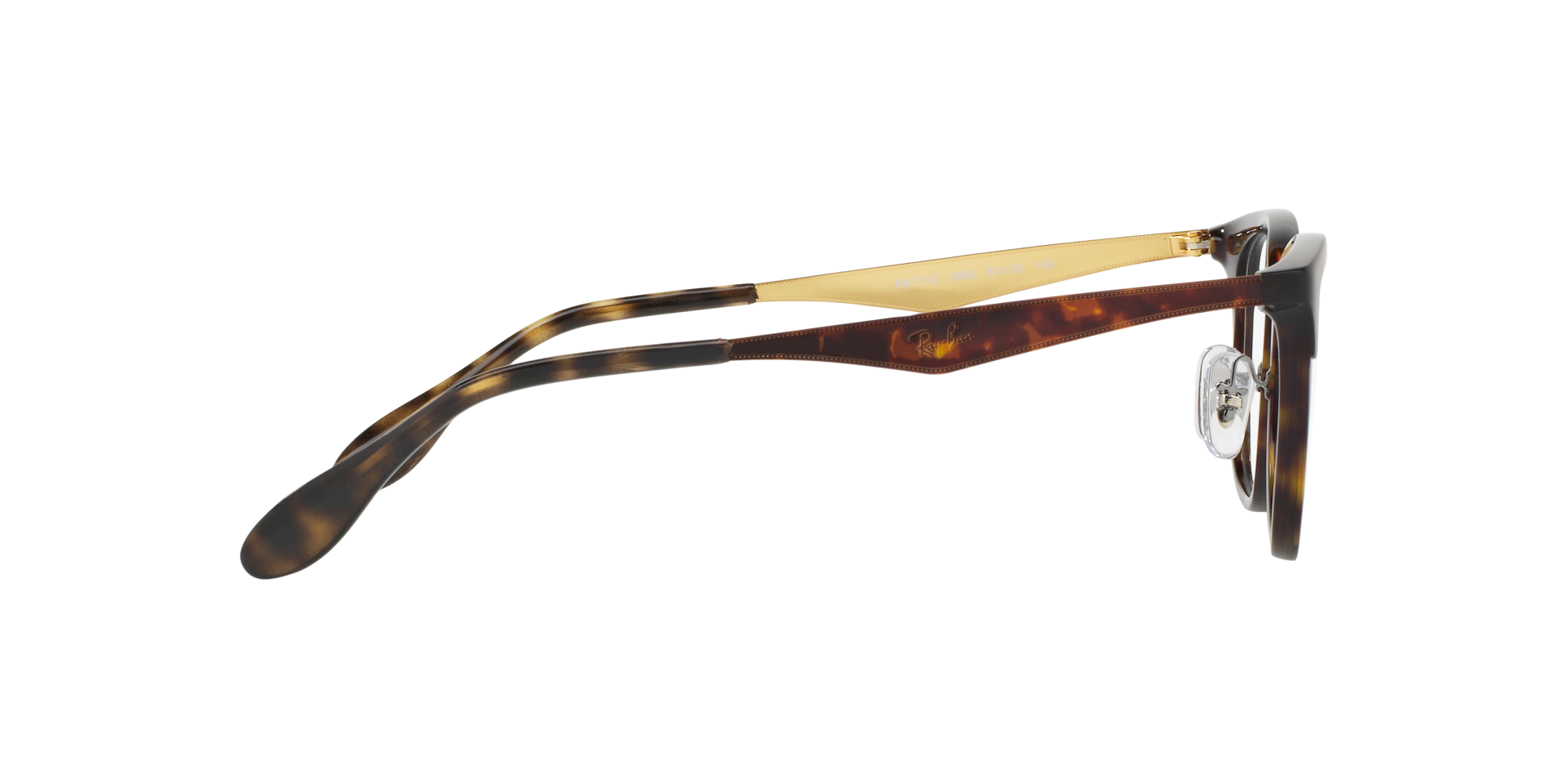 0RX7112_tortoise-5683_10.png