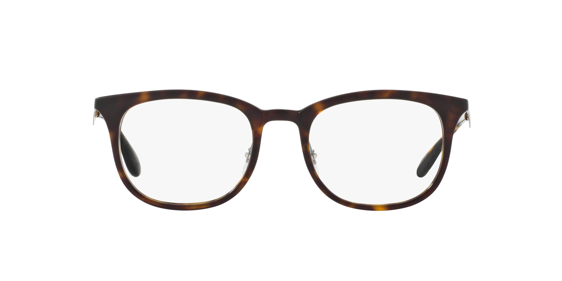 0RX7112_tortoise-5683_2.png