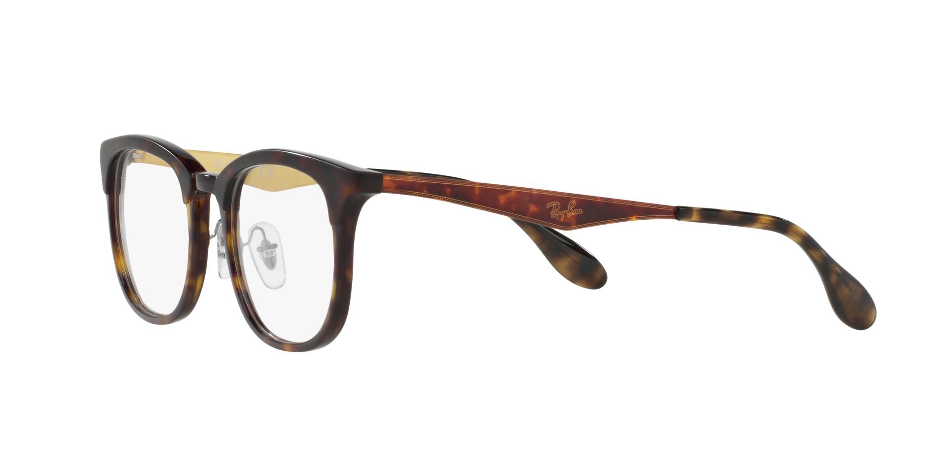 0RX7112_tortoise-5683_3.png