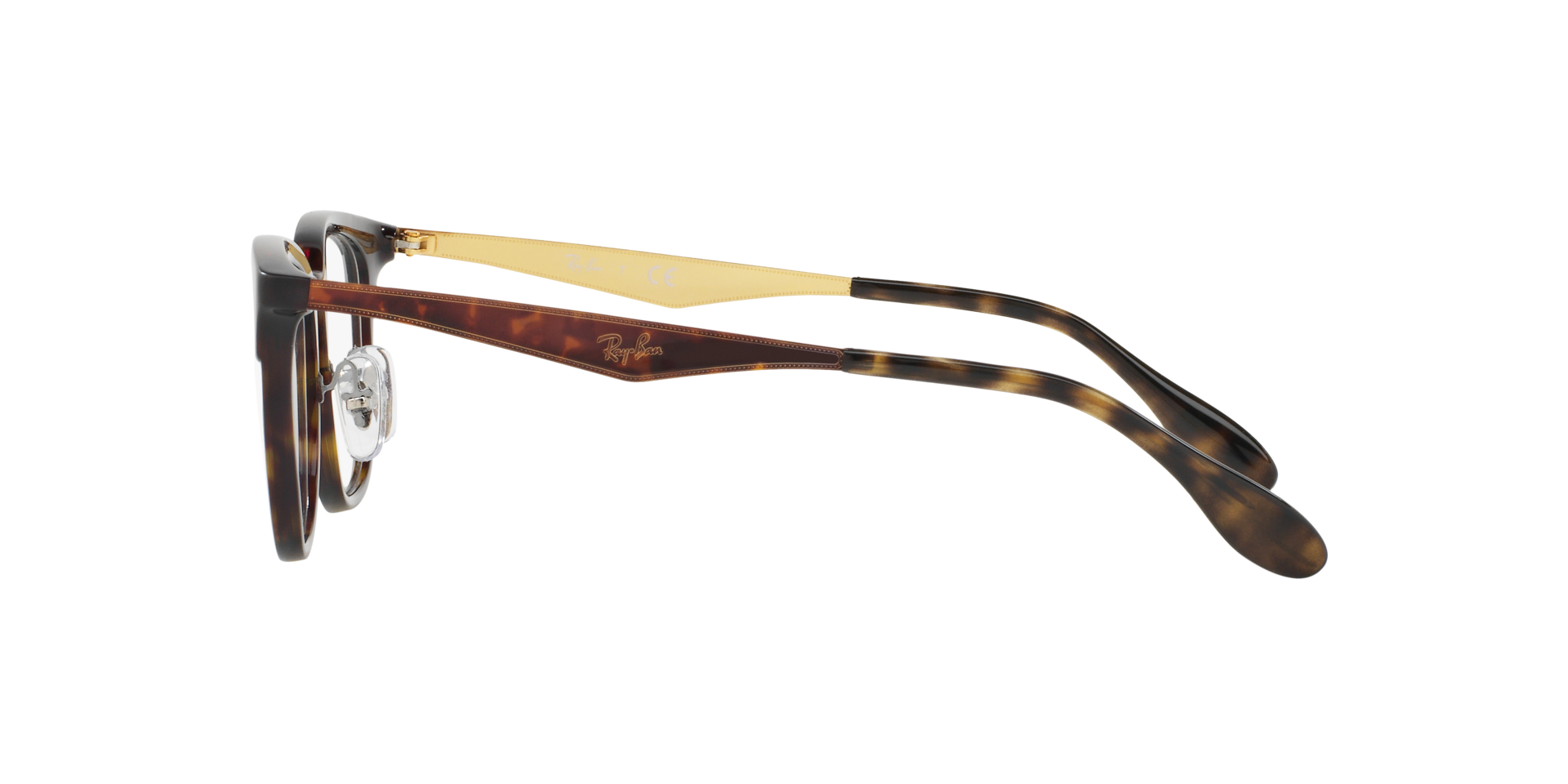 0RX7112_tortoise-5683_4.png