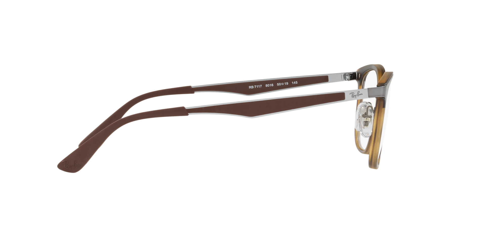0RX7117_tortoise-8016_10.png
