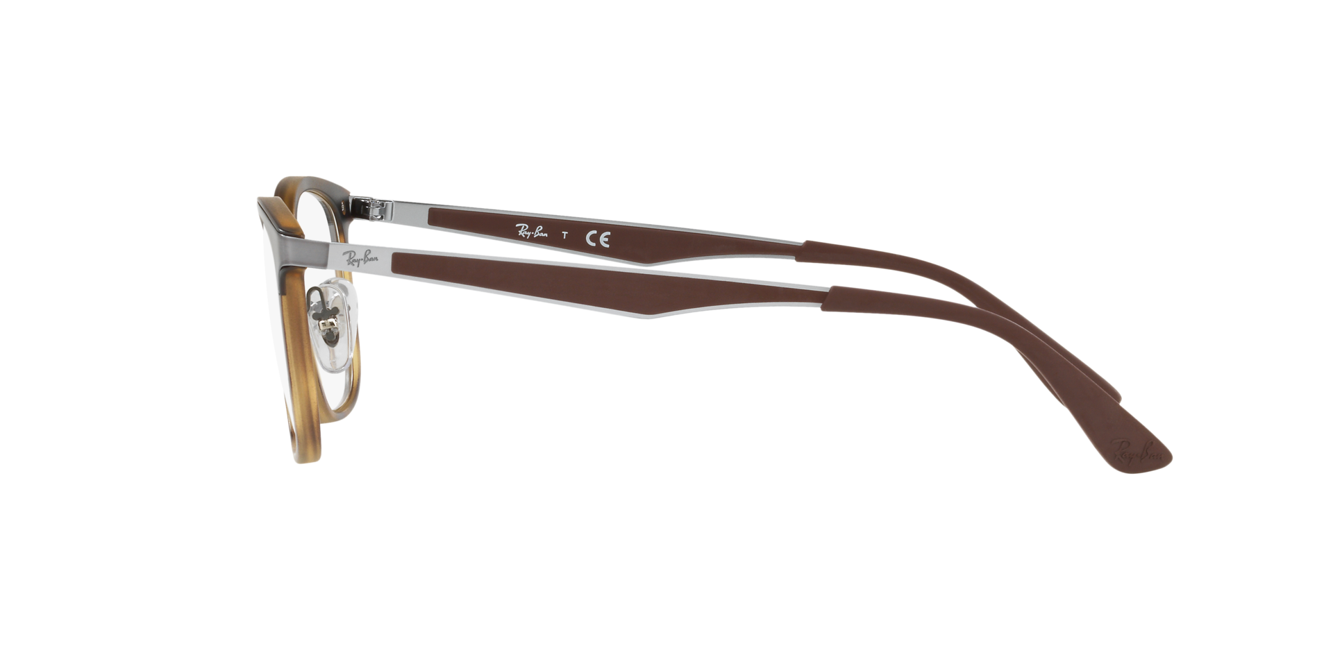 0RX7117_tortoise-8016_4.png