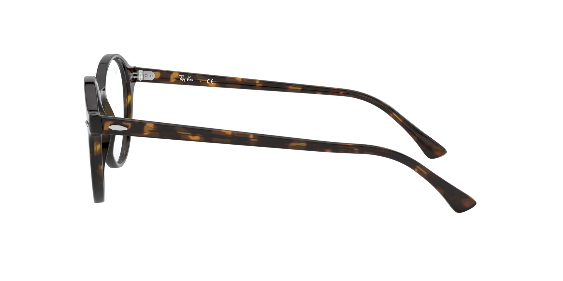 0RX7118_tortoise-2012_4.png