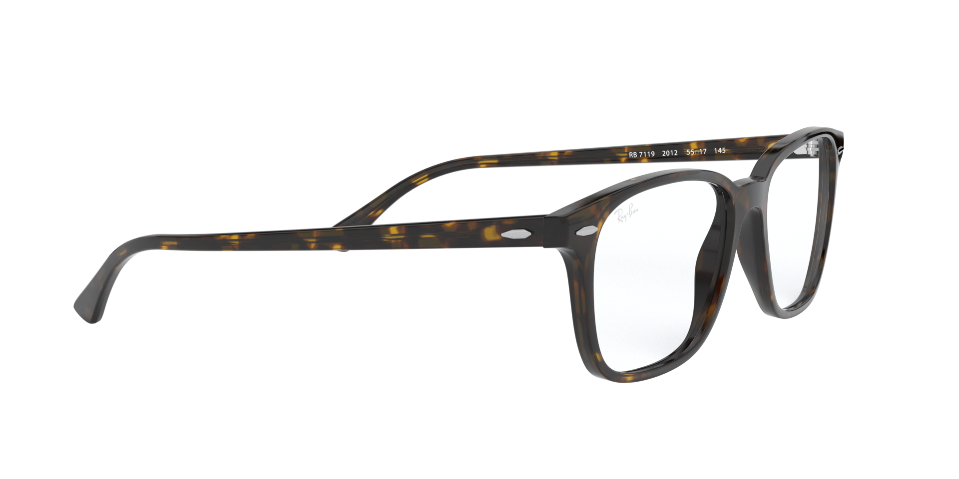 0RX7119_tortoise-2012_11.png