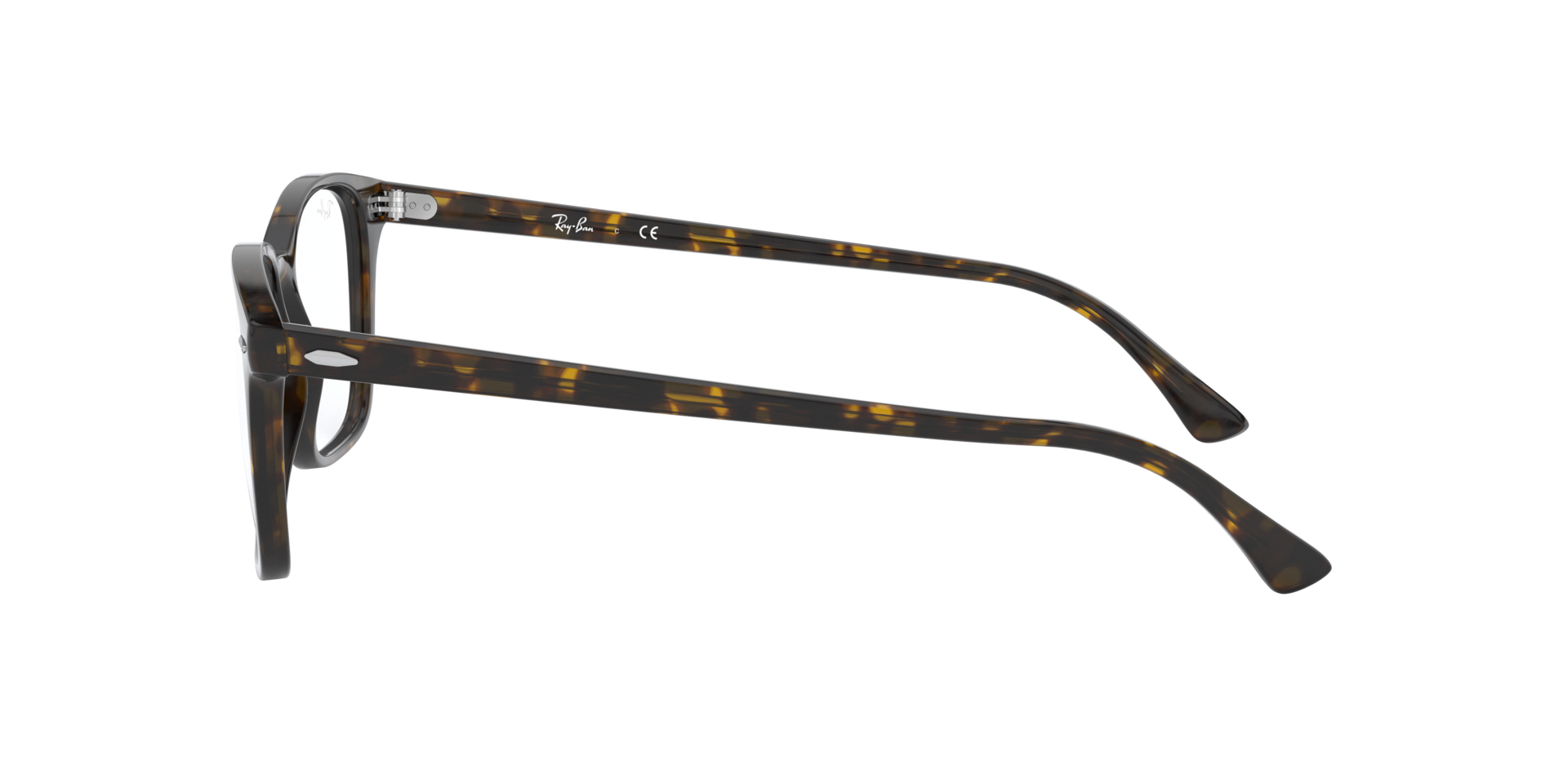 0RX7119_tortoise-2012_4.png
